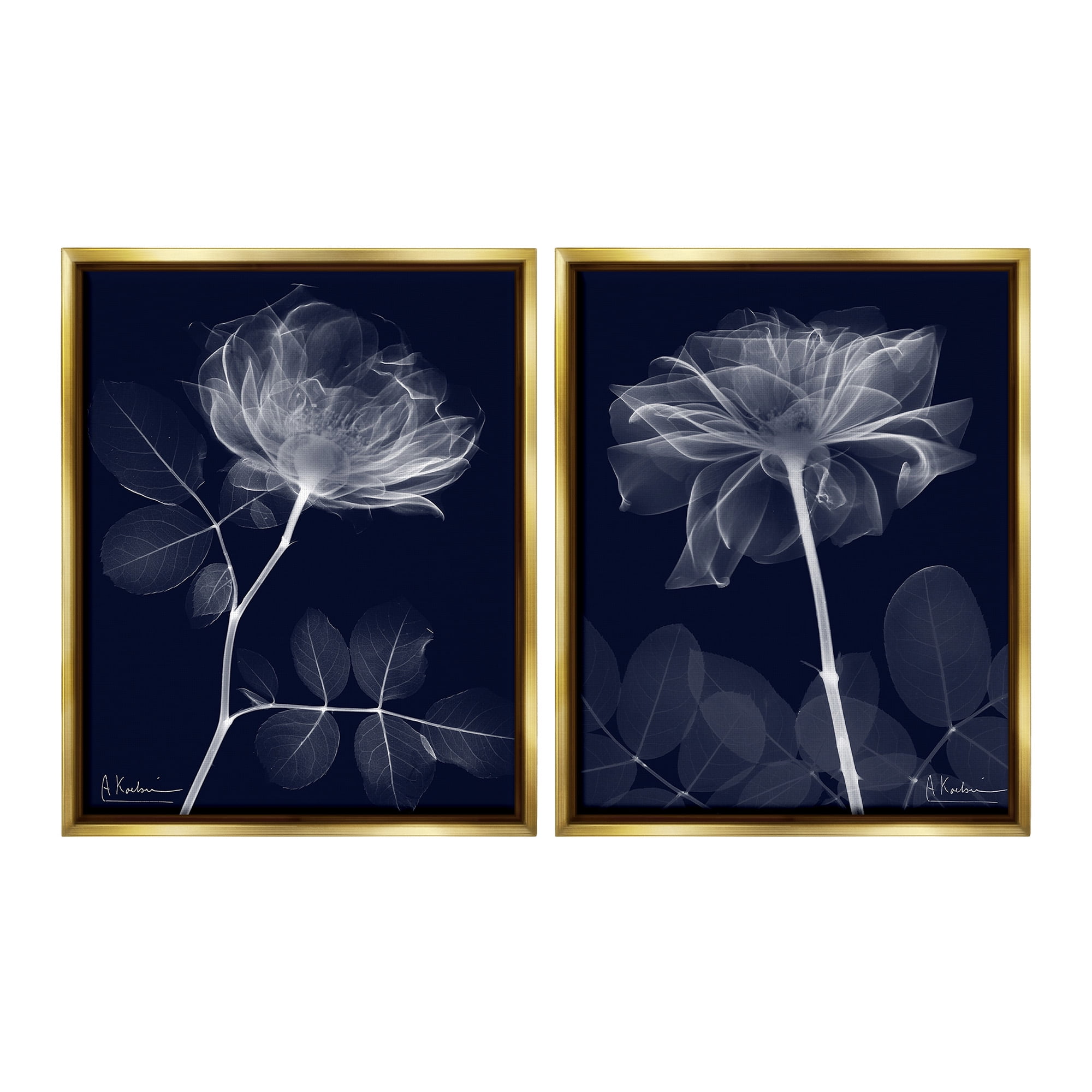 Stupell Industries X-Ray Blossom on Black Botanical & Floral Photography Gold Floater Framed Canvas Art Print Wall Art, 17 x 21, Set of 2