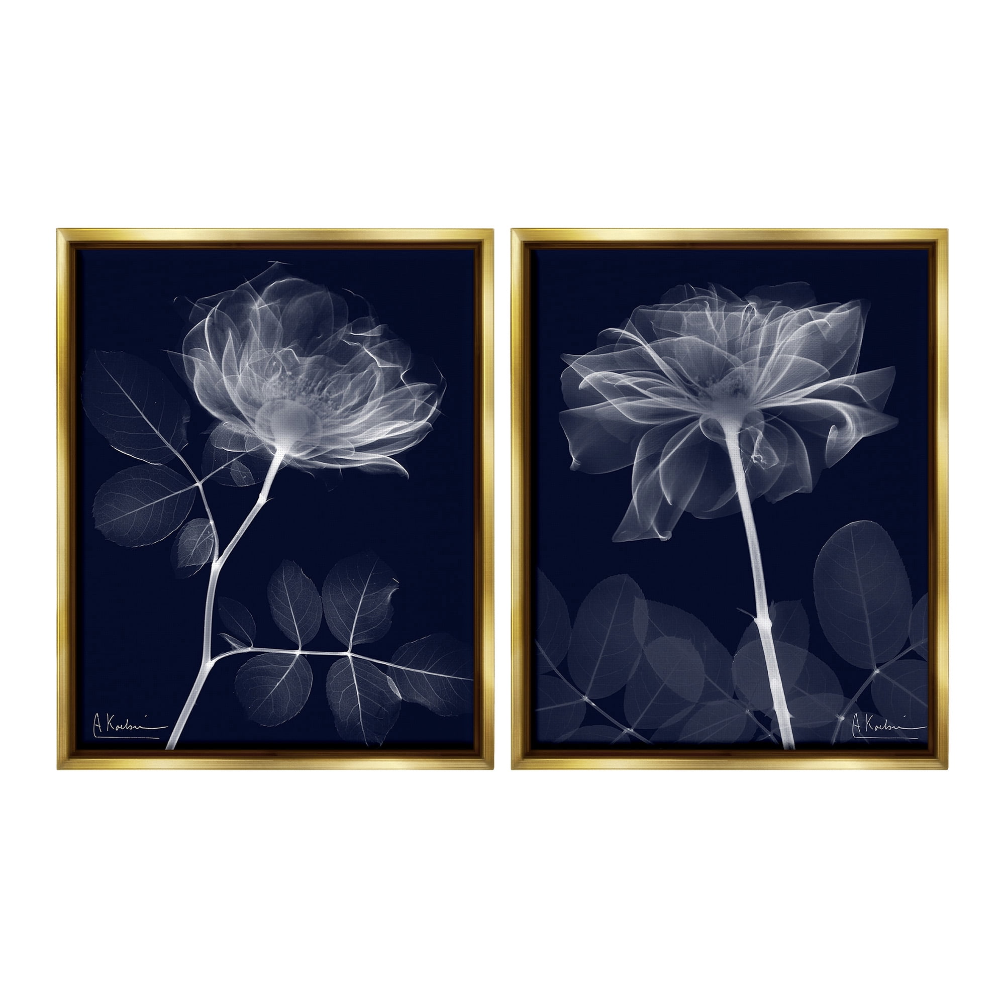 Stupell Industries X-Ray Blossom on Black Botanical & Floral Photography Gold Floater Framed Canvas Art Print Wall Art, 25 x 31, Set of 2