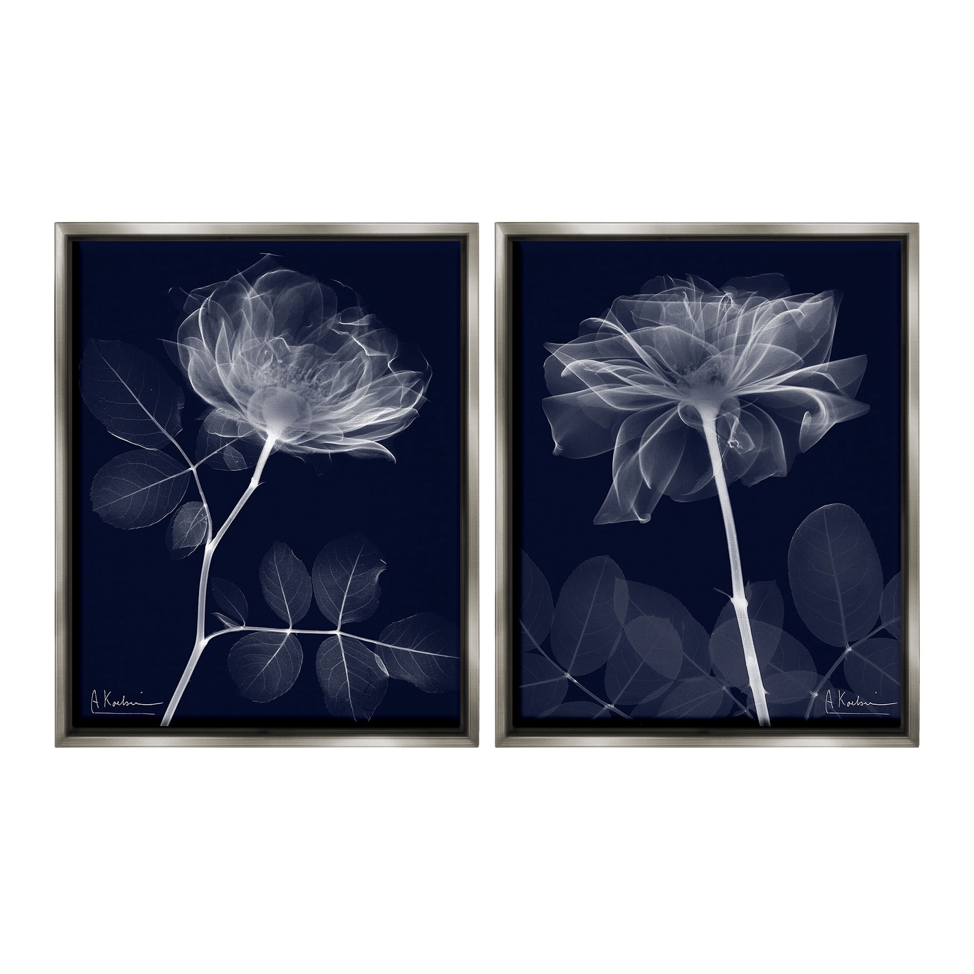 Stupell Industries X-Ray Blossom on Black Botanical & Floral Photography Gray Floater Framed Canvas Art Print Wall Art, 25 x 31, Set of 2