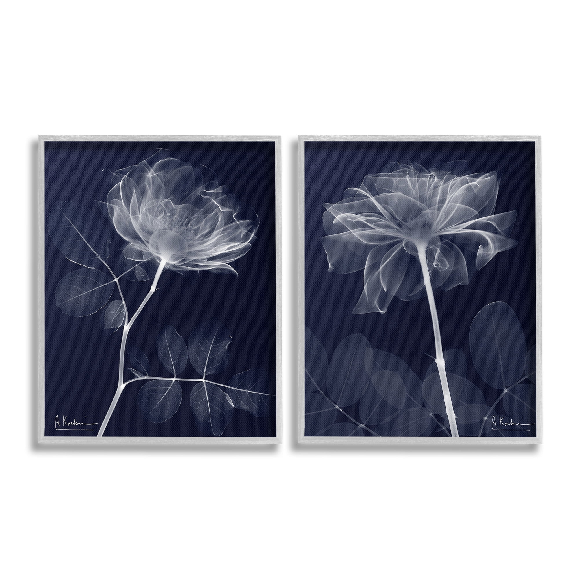 Stupell Industries X-Ray Blossom on Black Botanical & Floral Photography Gray Framed Art Print Wall Art, 11 x 14, Set of 2