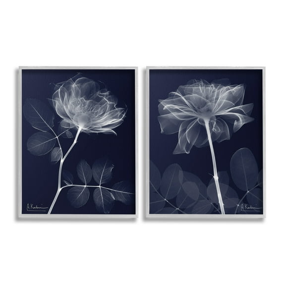 Stupell Industries X-Ray Blossom on Black Botanical & Floral Photography Gray Framed Art Print Wall Art, 16 x 20, Set of 2