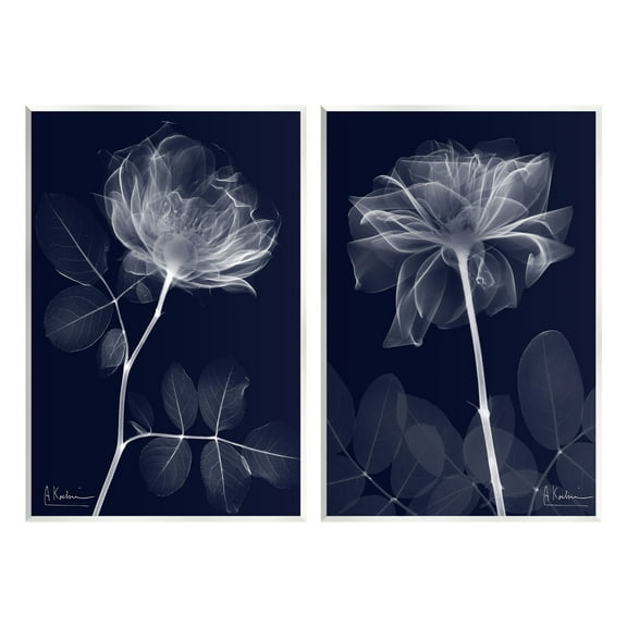 Stupell Industries X-Ray Blossom on Black Botanical & Floral Photography Unframed Art Print Wall Art, 10 x 15, Set of 2