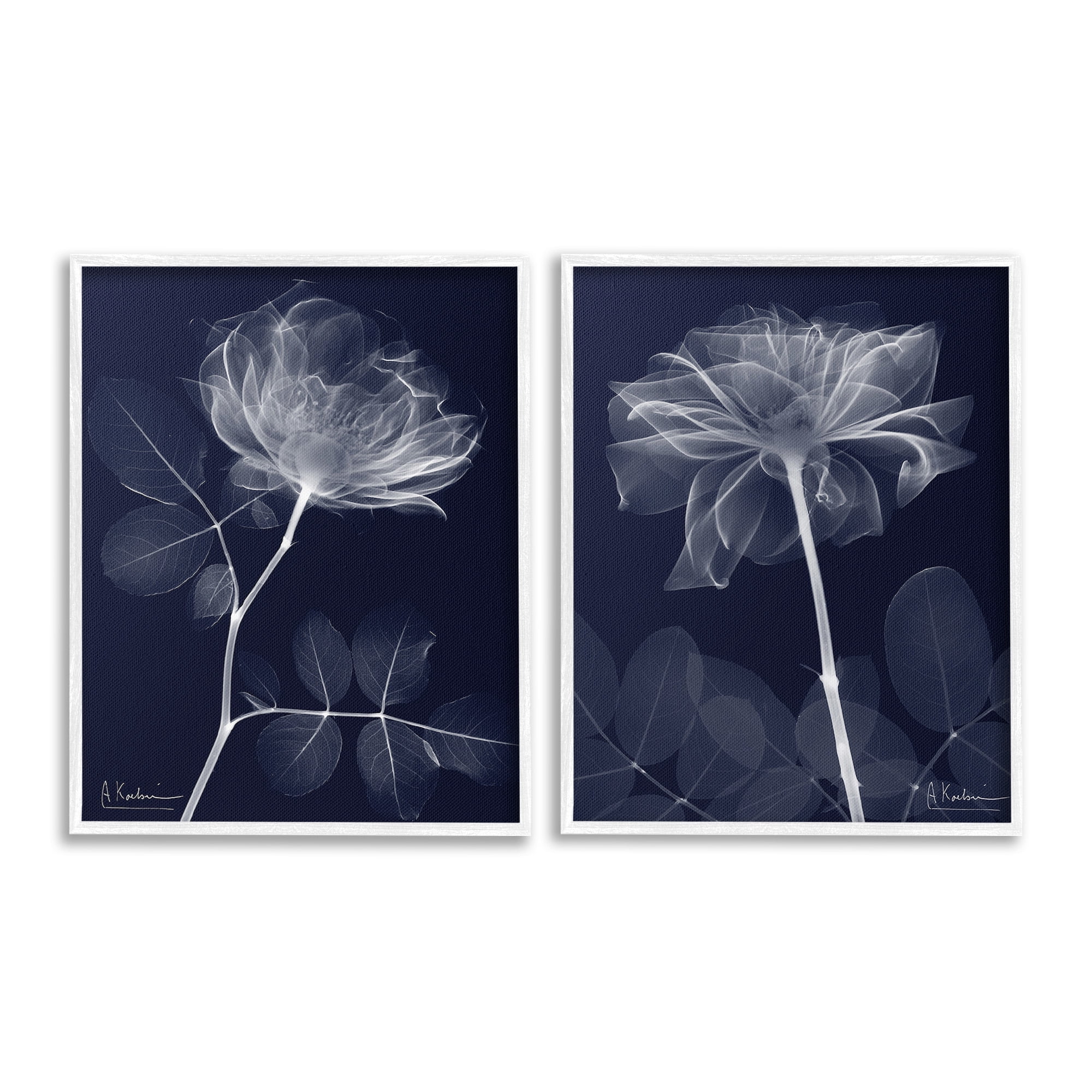 Stupell Industries X-Ray Blossom on Black Botanical & Floral Photography White Framed Art Print Wall Art, 16 x 20, Set of 2