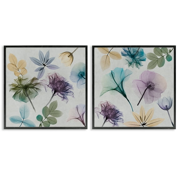 Stupell Industries X-Ray Floral Collage Plants & Flowers Painting Black Framed Art Print Wall Art, 12 x 12, Set of 2