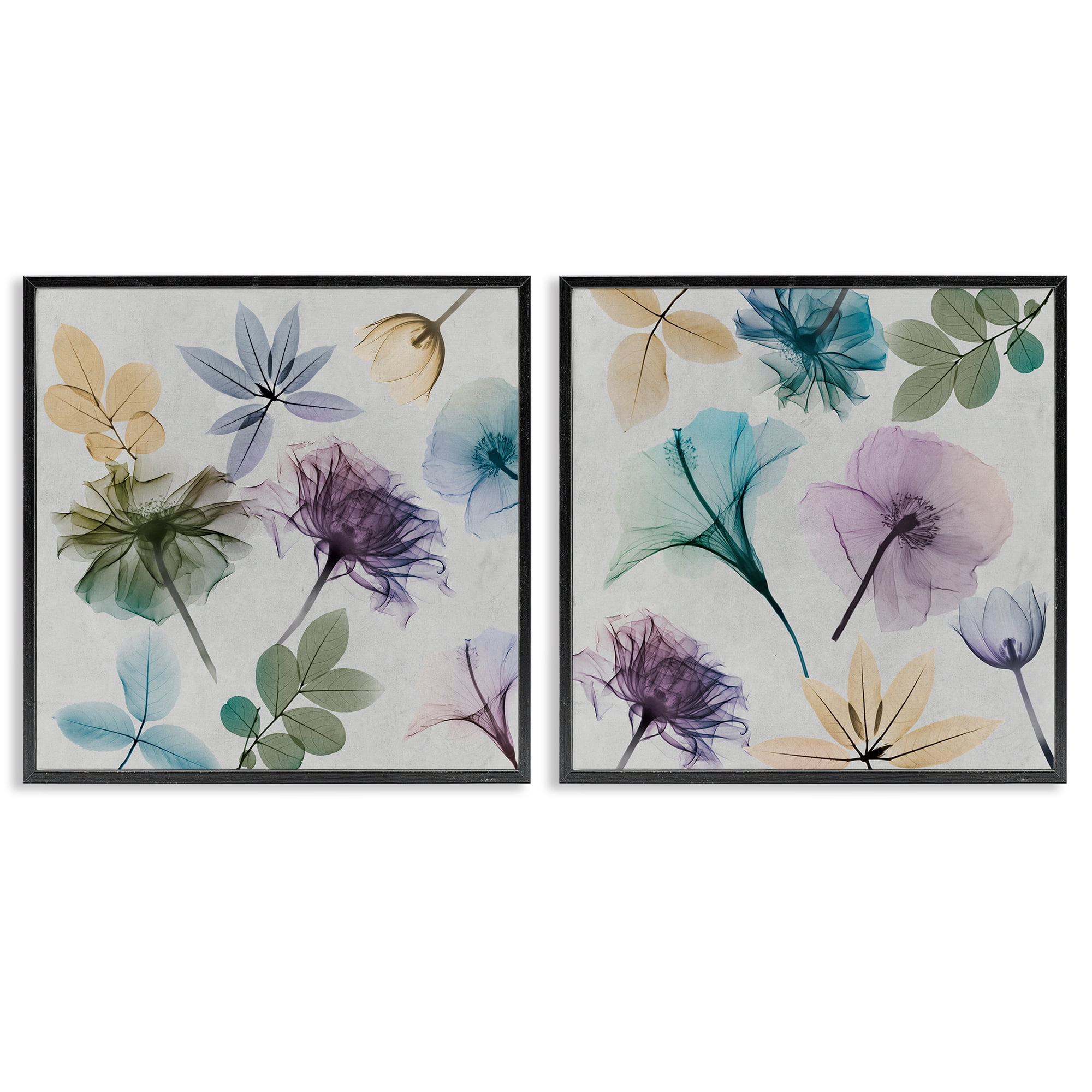 Stupell Industries X-Ray Floral Collage Plants & Flowers Painting Black Framed Art Print Wall Art, 17 x 17, Set of 2