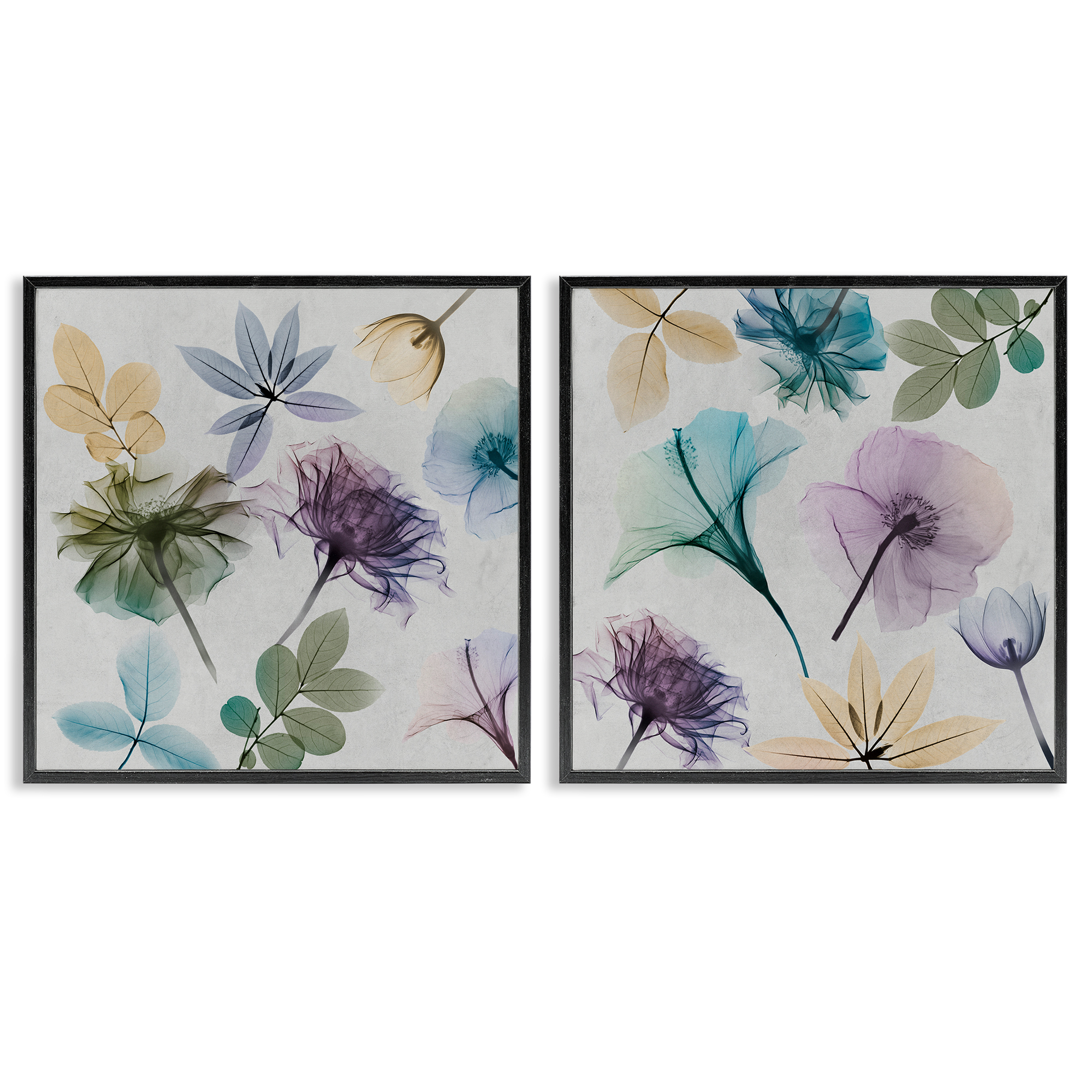 Stupell Industries X-Ray Floral Collage Plants & Flowers Painting Black Framed Art Print Wall Art, 24 x 24, Set of 2