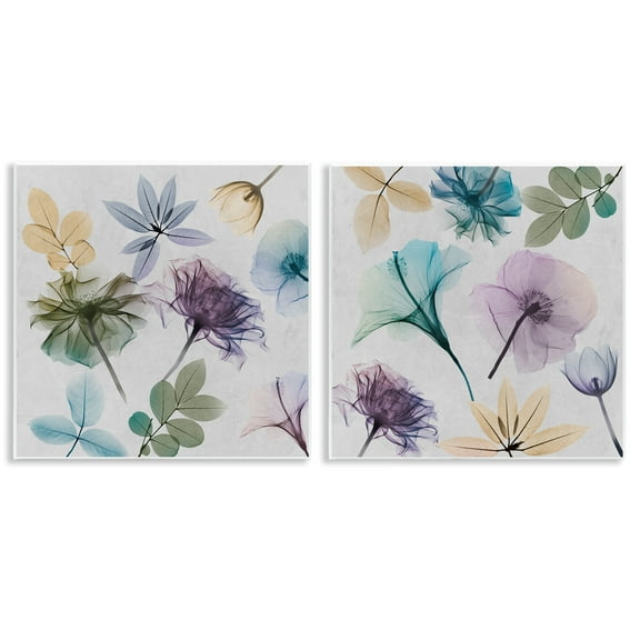 Stupell Industries X-Ray Floral Collage Plants & Flowers Painting Unframed Art Print Wall Art, 12 x 12, Set of 2
