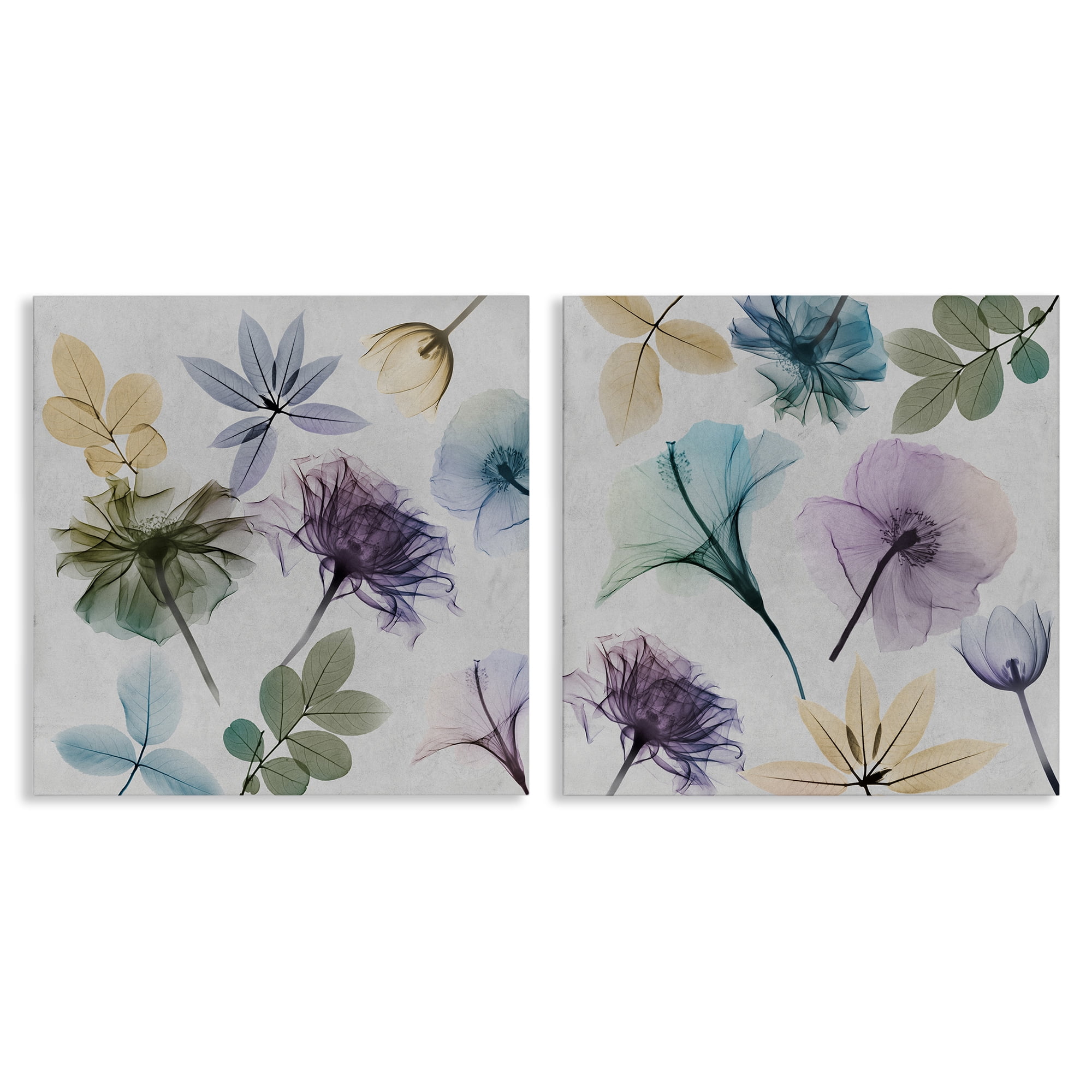 Stupell Industries X-Ray Floral Collage Plants & Flowers Painting Wrapped Canvas Art Print Wall Art, 24 x 24, Set of 2