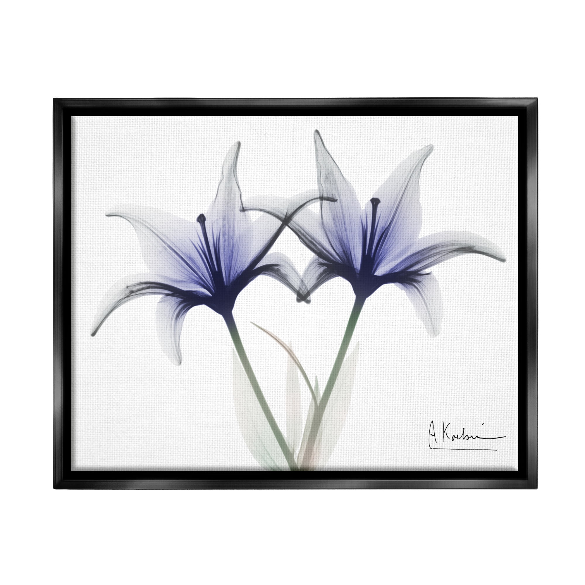 Stupell Industries X-Ray Lily Flowers Botanical & Floral Photography Black Floater Framed Art Print Wall Art, 21 x 17