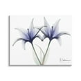 thumbnail image 1 of Stupell Industries X-Ray Lily Flowers Botanical & Floral Photography Gallery Wrapped Canvas Print Wall Art, 30 x 24, 1 of 8
