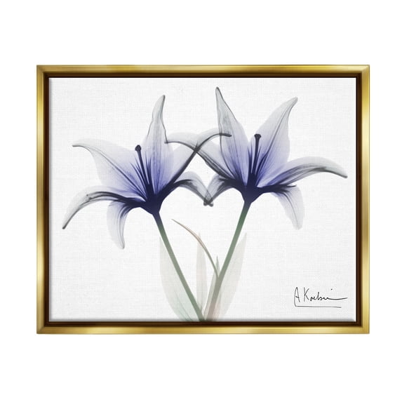 Stupell Industries X-Ray Lily Flowers Botanical & Floral Photography Gold Floater Framed Art Print Wall Art, 31 x 25
