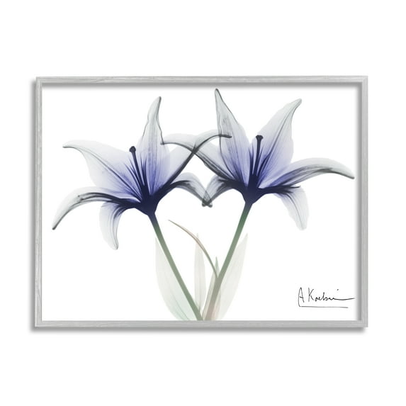 Stupell Industries X-Ray Lily Flowers Botanical & Floral Photography Gray Framed Art Print Wall Art, 14 x 11
