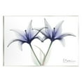 thumbnail image 1 of Stupell Industries X-Ray Lily Flowers Botanical & Floral Photography Unframed Art Print Wall Art, 15 x 10, 1 of 7