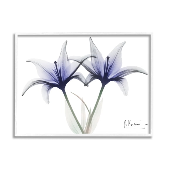 Stupell Industries X-Ray Lily Flowers Botanical & Floral Photography White Framed Art Print Wall Art, 14 x 11