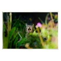 Stupell Industries Yawning Cat in Grass Animals & Insects Photography Unframed Art Print Wall Art, 15 x 10