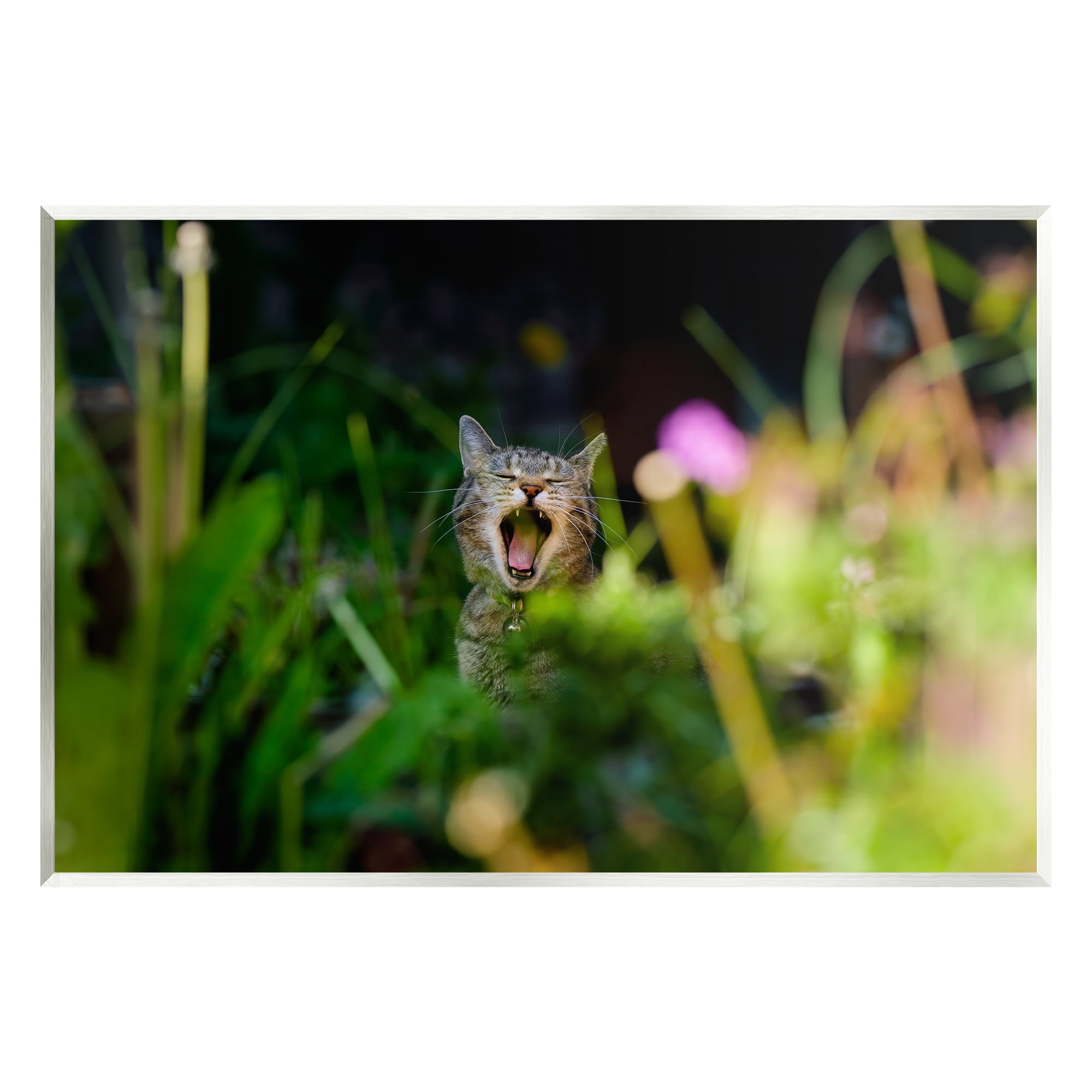 Stupell Industries Yawning Cat in Grass Animals & Insects Photography Unframed Art Print Wall Art, 19 x 13