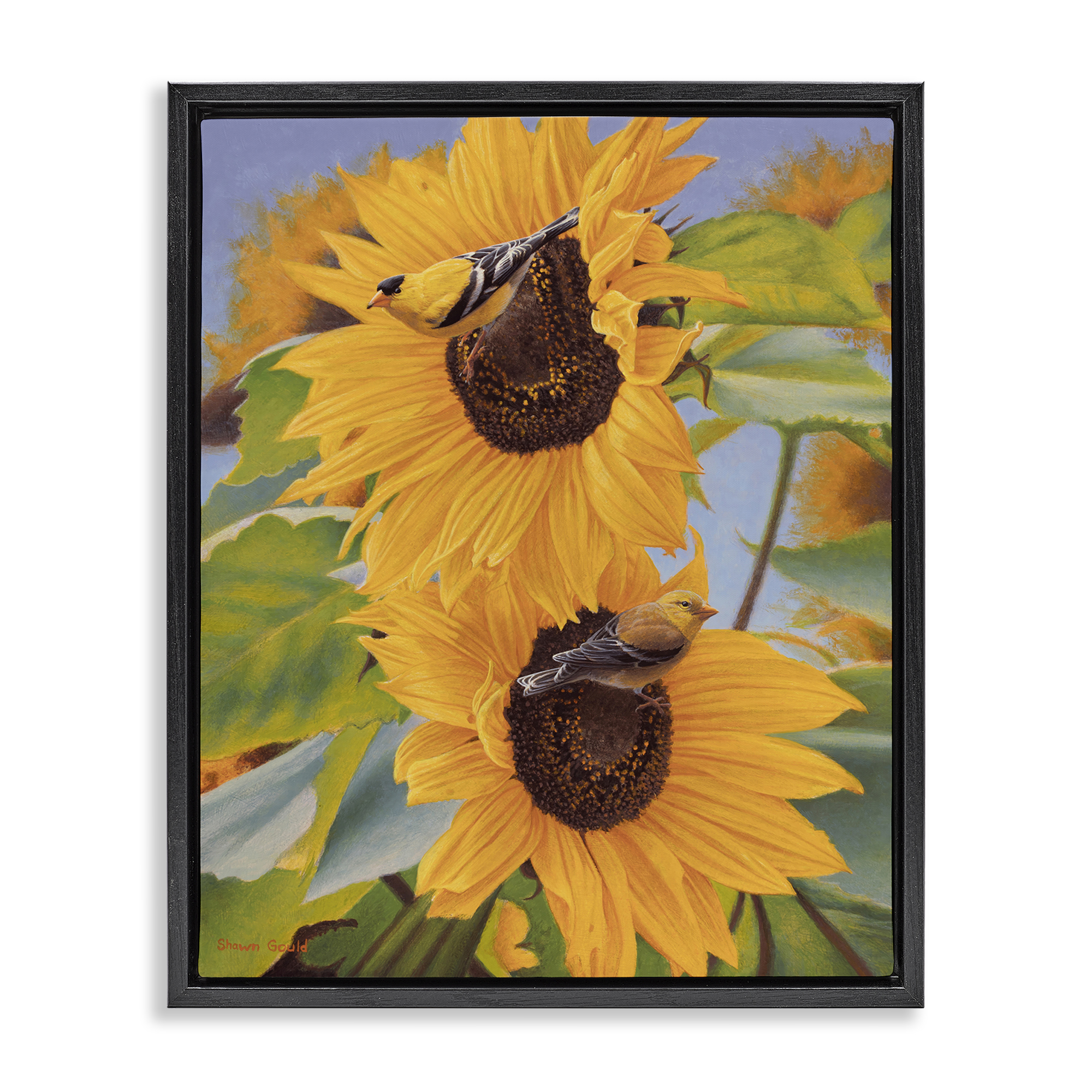 Stupell Industries Yellow Bird & Sunflowers Plants & Flowers Photography Black Floater Framed Canvas Art Print Wall Art, 17 x 21
