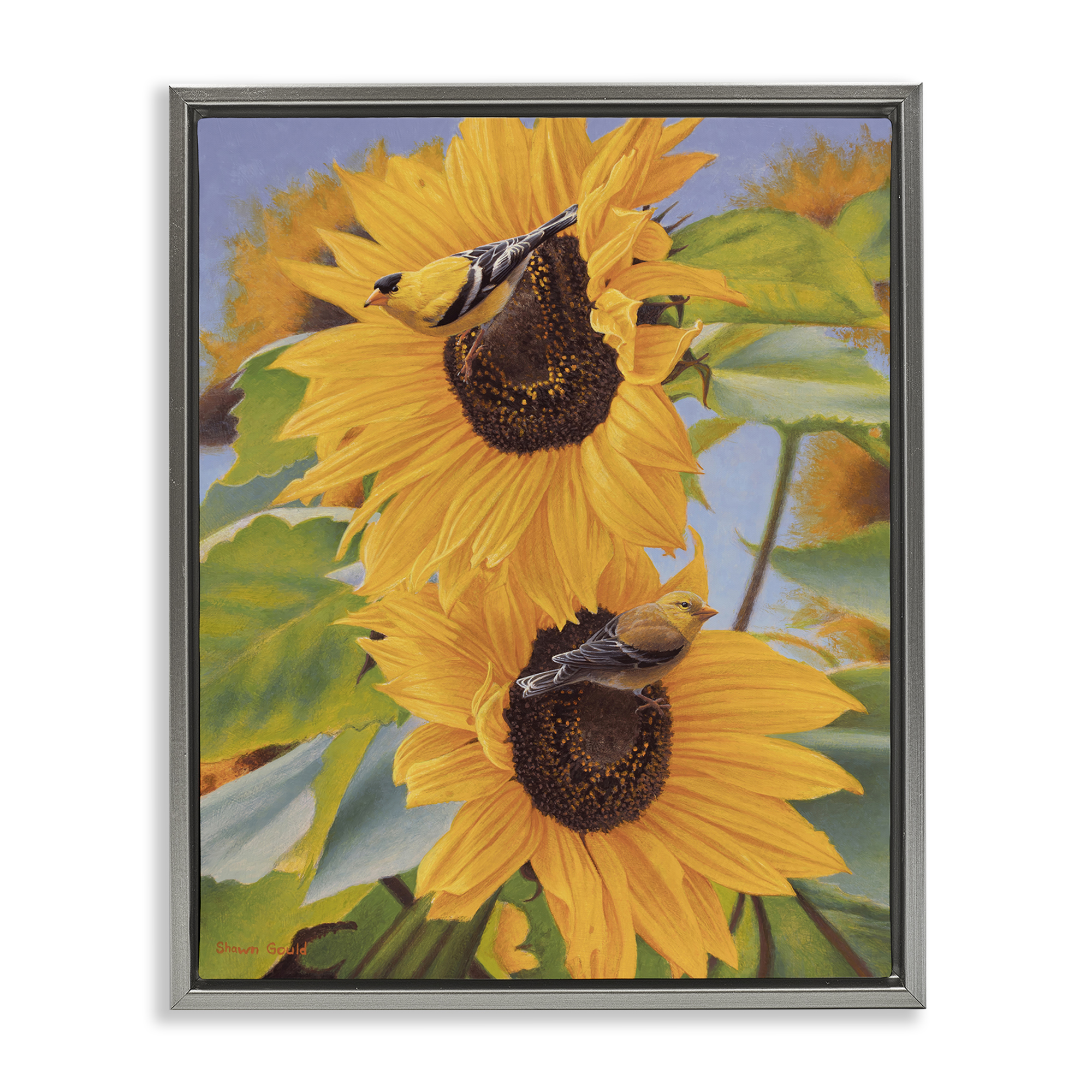 Stupell Industries Yellow Bird & Sunflowers Plants & Flowers Photography Gray Floater Framed Canvas Art Print Wall Art, 25 x 31
