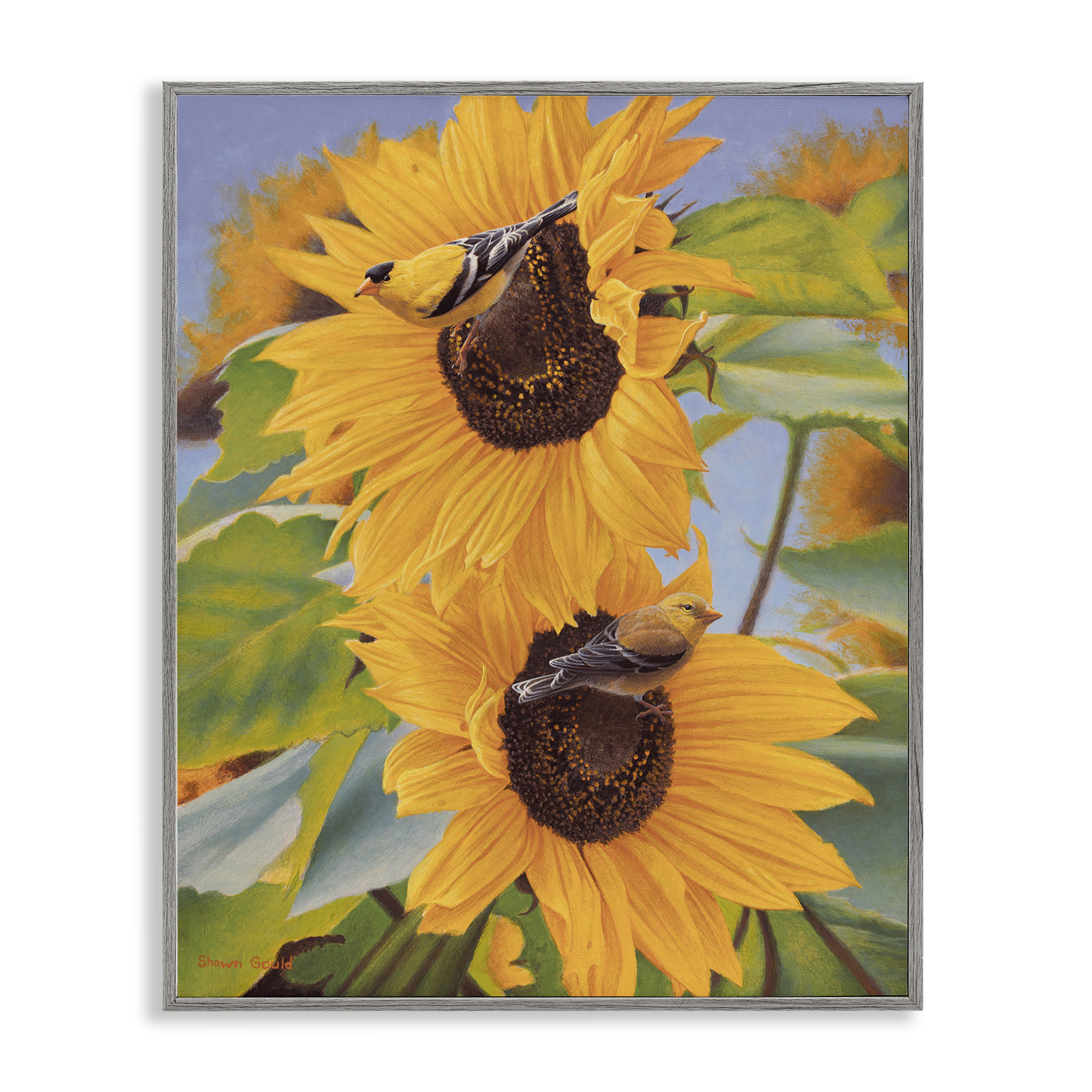 Stupell Industries Yellow Bird & Sunflowers Plants & Flowers Photography Gray Framed Art Print Wall Art, 16 x 20