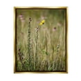 thumbnail image 1 of Stupell Industries Yellow Daisy Sprout Botanical & Floral Photography Gold Floater Framed Canvas Art Print Wall Art, 17 x 21, 1 of 10
