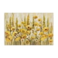 thumbnail image 1 of Stupell Industries Traditional Yellow Field of Poppies Canvas Art, 24 x 16, by Silvia Vassileva, 1 of 8