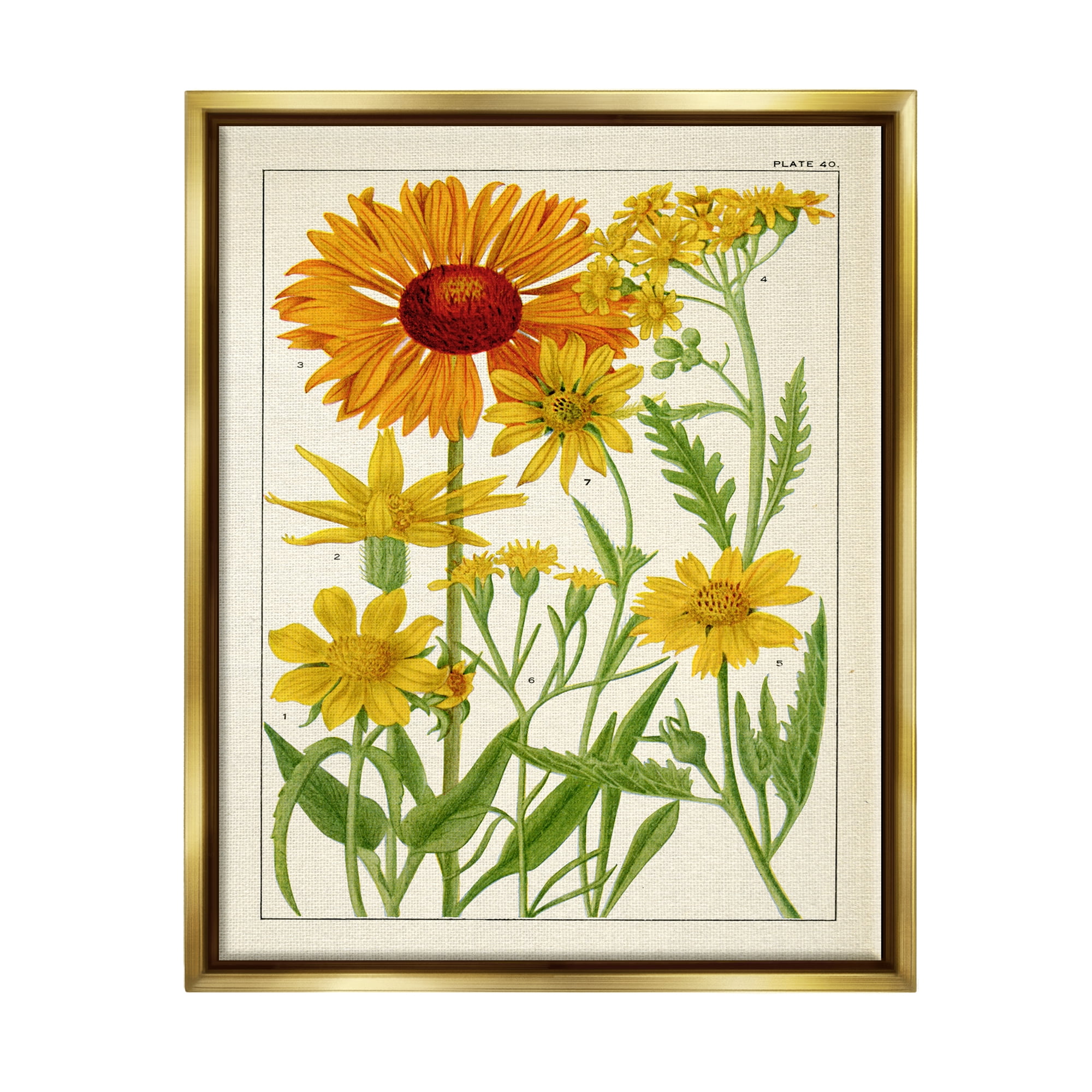 Stupell Industries Yellow Flower Studies Botanical & Floral Painting Gold Floater Framed Art Print Wall Art, 17 x 21
