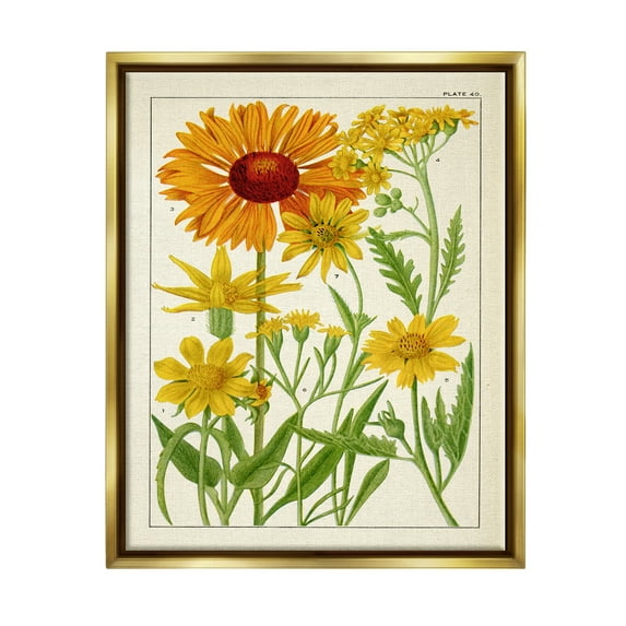 Stupell Industries Yellow Flower Studies Botanical & Floral Painting Gold Floater Framed Art Print Wall Art, 25 x 31