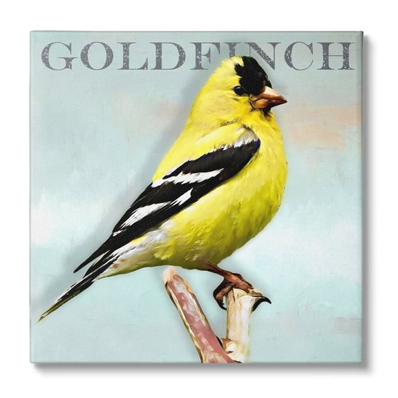 Stupell Industries Yellow Goldfinch Bird Portrait Rustic Text Typography Canvas Wall Art, 17 x 17, Design by Alpenglow Workshop