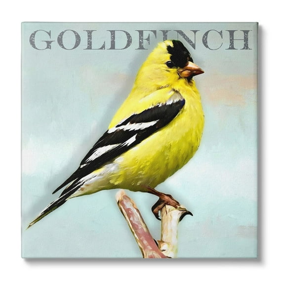 Stupell Industries Yellow Goldfinch Bird Portrait Rustic Text Typography Canvas Wall Art, 24 x 24, Design by Alpenglow Workshop