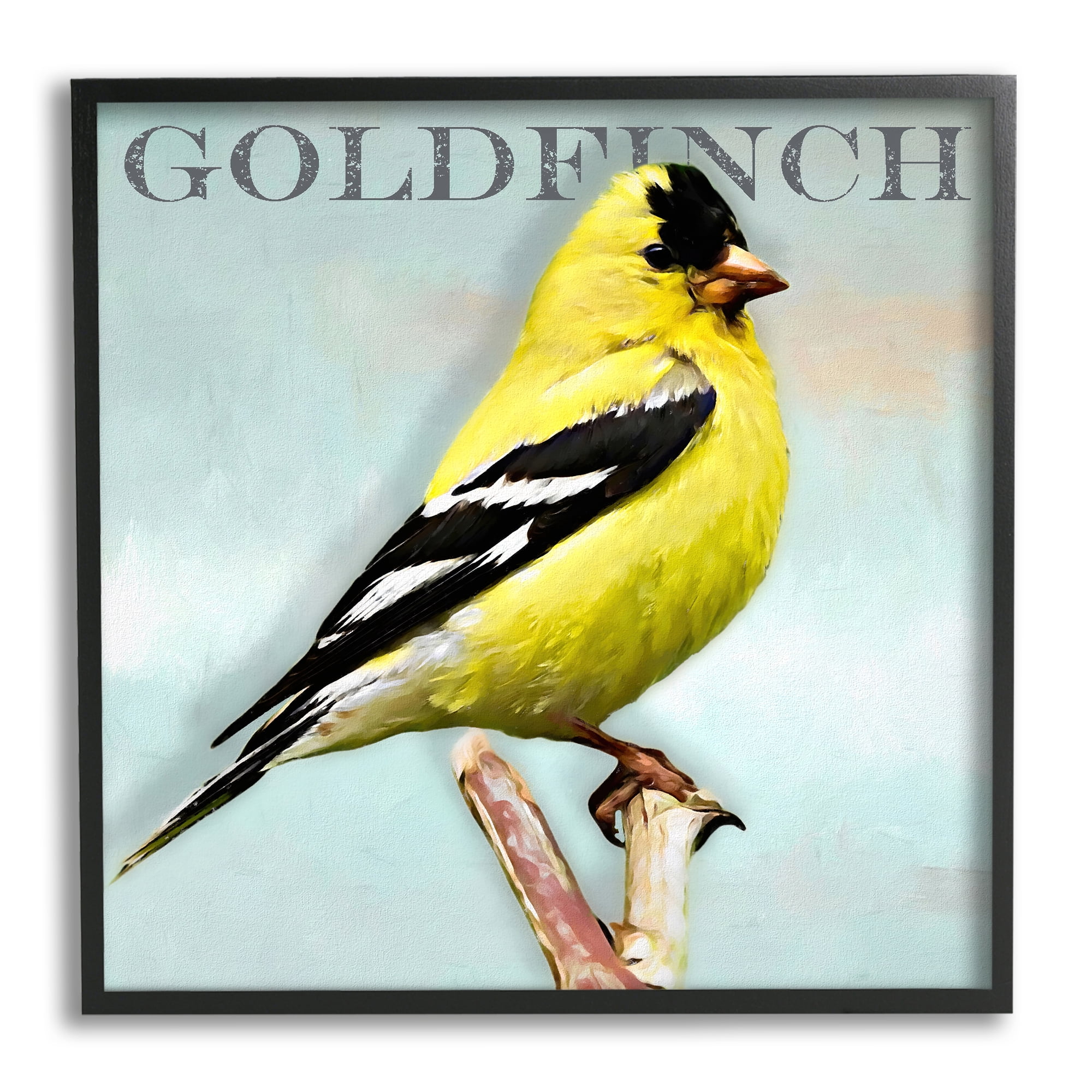 Stupell Industries Yellow Goldfinch Bird Portrait Rustic Text Typography Framed Wall Art, 12 x 12, Design by Alpenglow Workshop