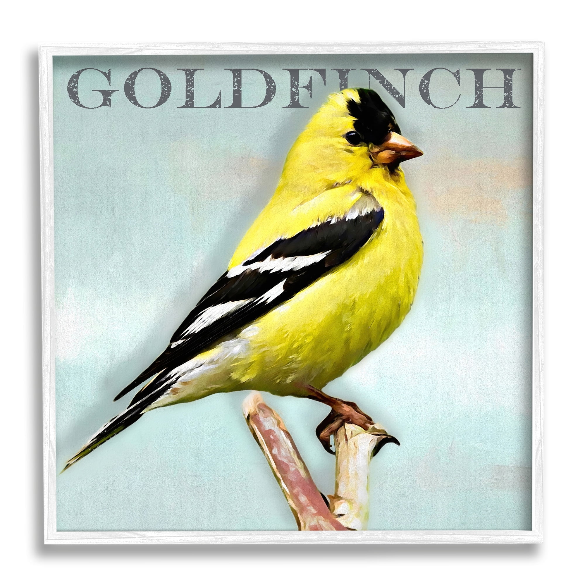 Stupell Industries Yellow Goldfinch Bird Portrait Rustic Text Typography Framed Wall Art, 17 x 17, Design by Alpenglow Workshop