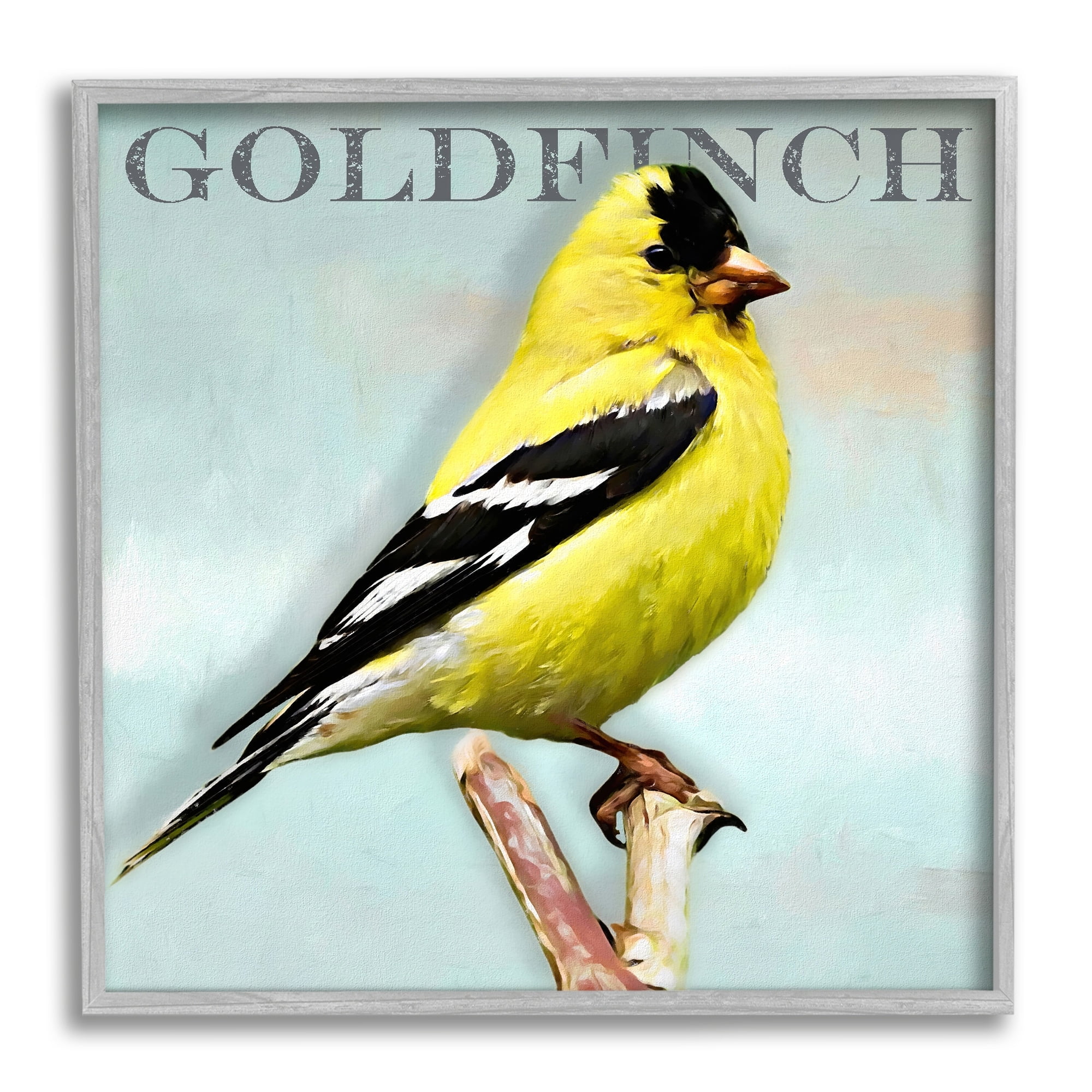 Stupell Industries Yellow Goldfinch Bird Portrait Rustic Text Typography Framed Wall Art, 24 x 24, Design by Alpenglow Workshop