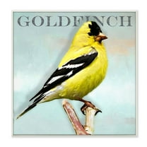 Stupell Industries Yellow Goldfinch Bird Portrait Rustic Text Typography Wood Wall Art, 12 x 12, Design by Alpenglow Workshop