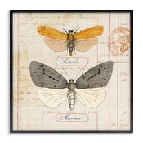 Stupell Industries Yellow & Grey Butterflies Insects Painting Black Framed Art Print Wall Art, 12 x 12