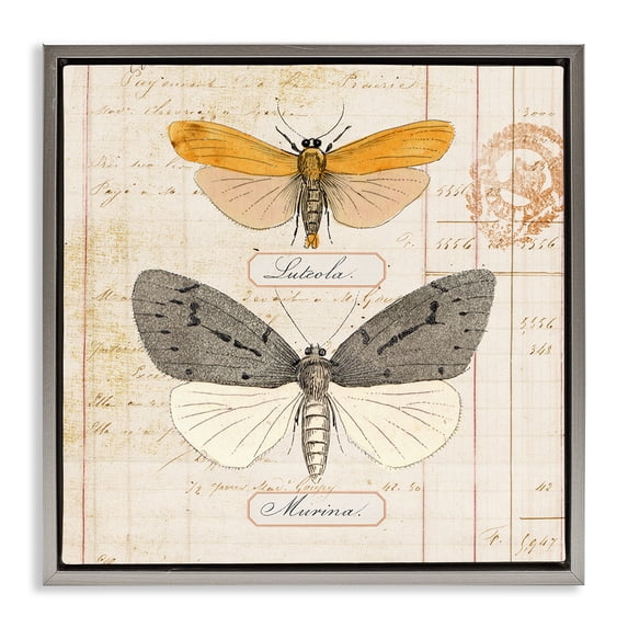 Stupell Industries Yellow & Grey Butterflies Insects Painting Gray Floater Framed Canvas Art Print Wall Art, 18 x 18