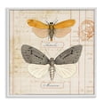 thumbnail image 1 of Stupell Industries Cottage Yellow & Grey Butterflies White Framed Giclee Art, 12 x 12, by Susan Arnot, 1 of 8