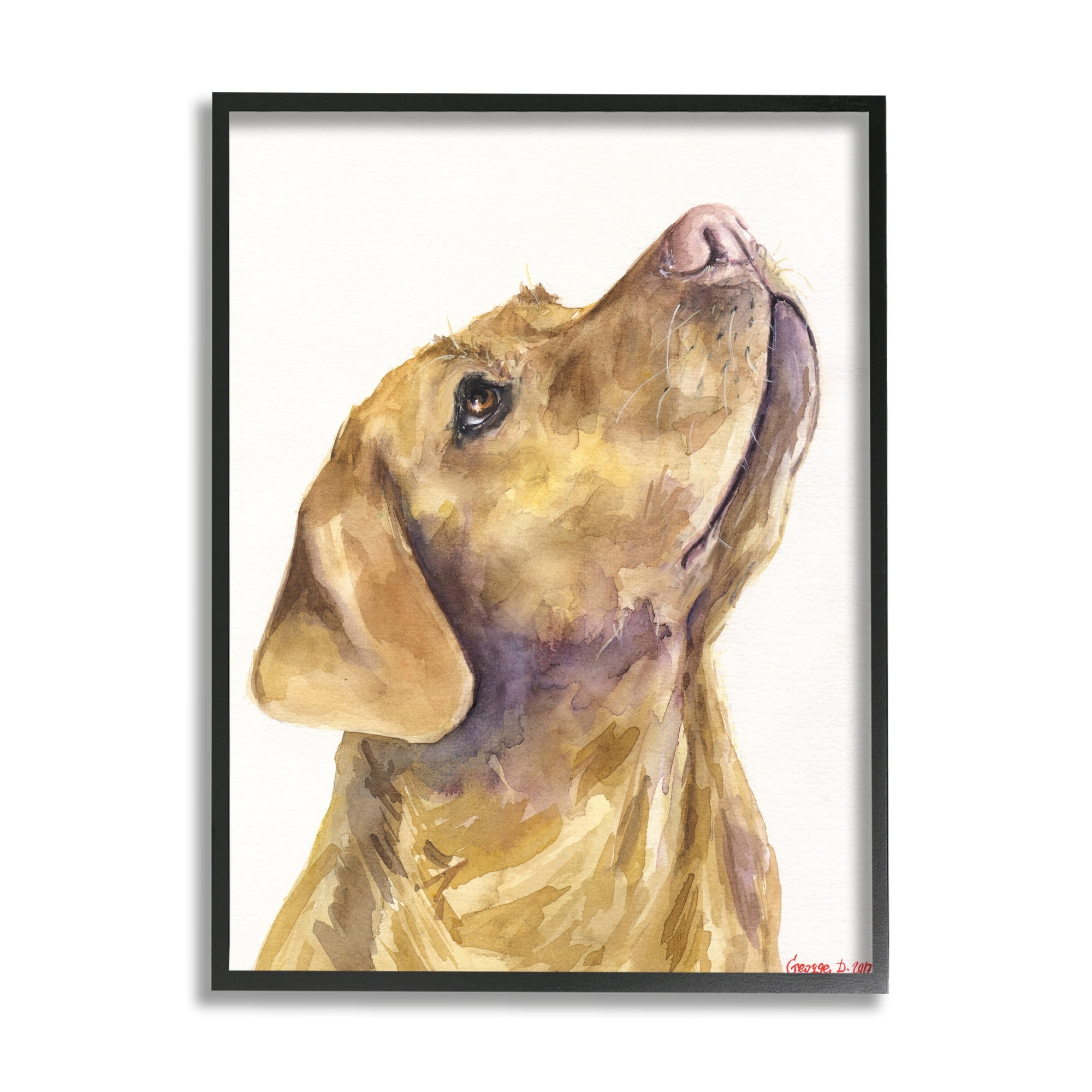 Stupell Industries Yellow Lab Gazing Upwards Pet Dog Portrait Black Framed, 16 x 20, Design by George Dyachenko