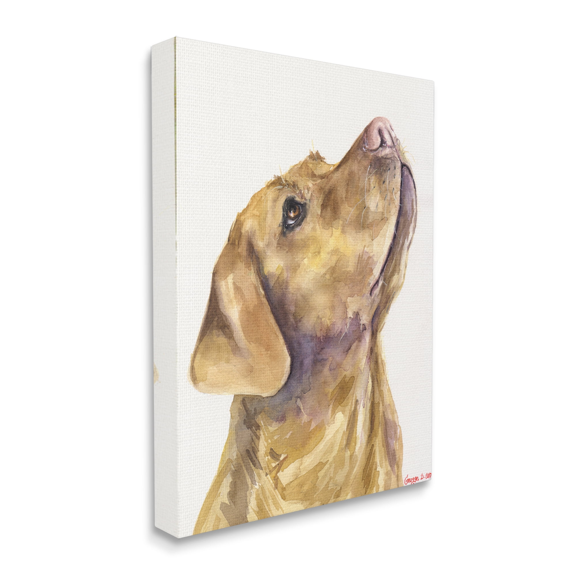 Stupell Industries Yellow Lab Gazing Upwards Pet Dog Portrait Canvas Wall Art, 30 x 40, Design by George Dyachenko