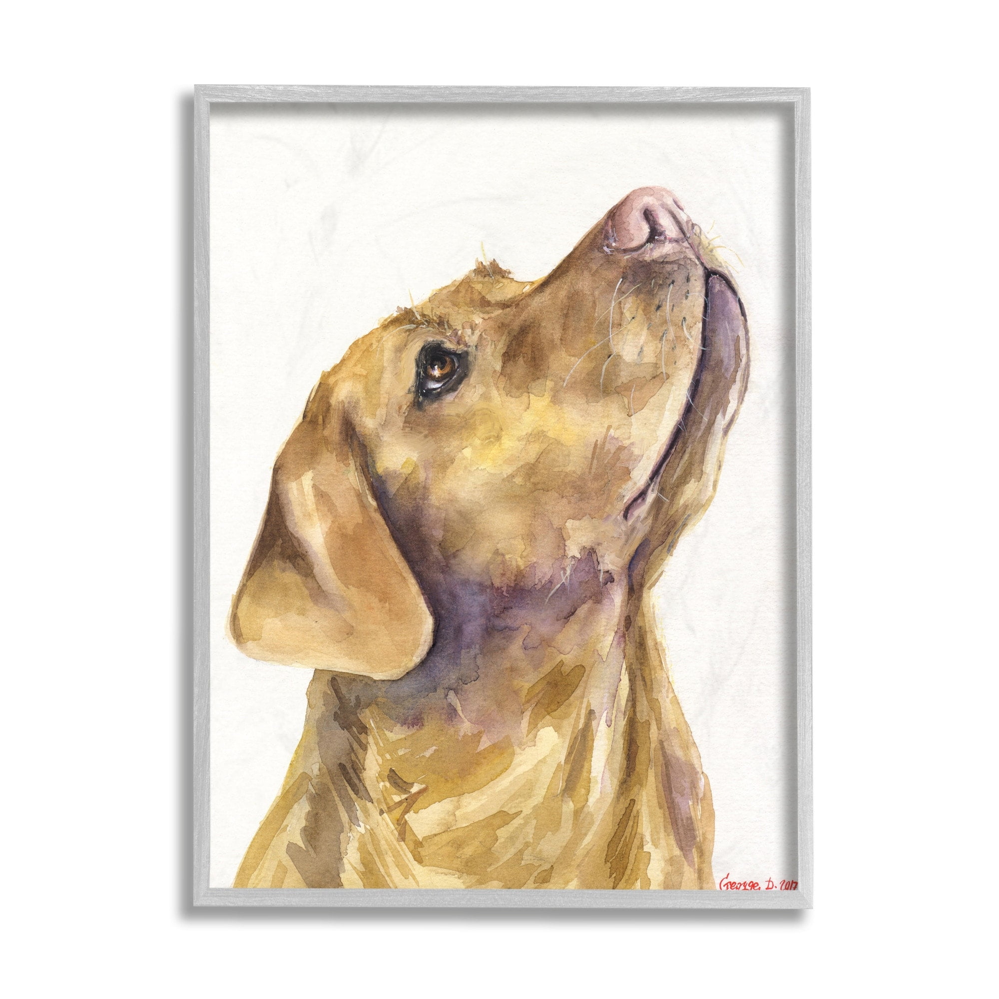 Stupell Industries Yellow Lab Gazing Upwards Pet Dog Portrait Grey Framed, 16 x 20, Design by George Dyachenko