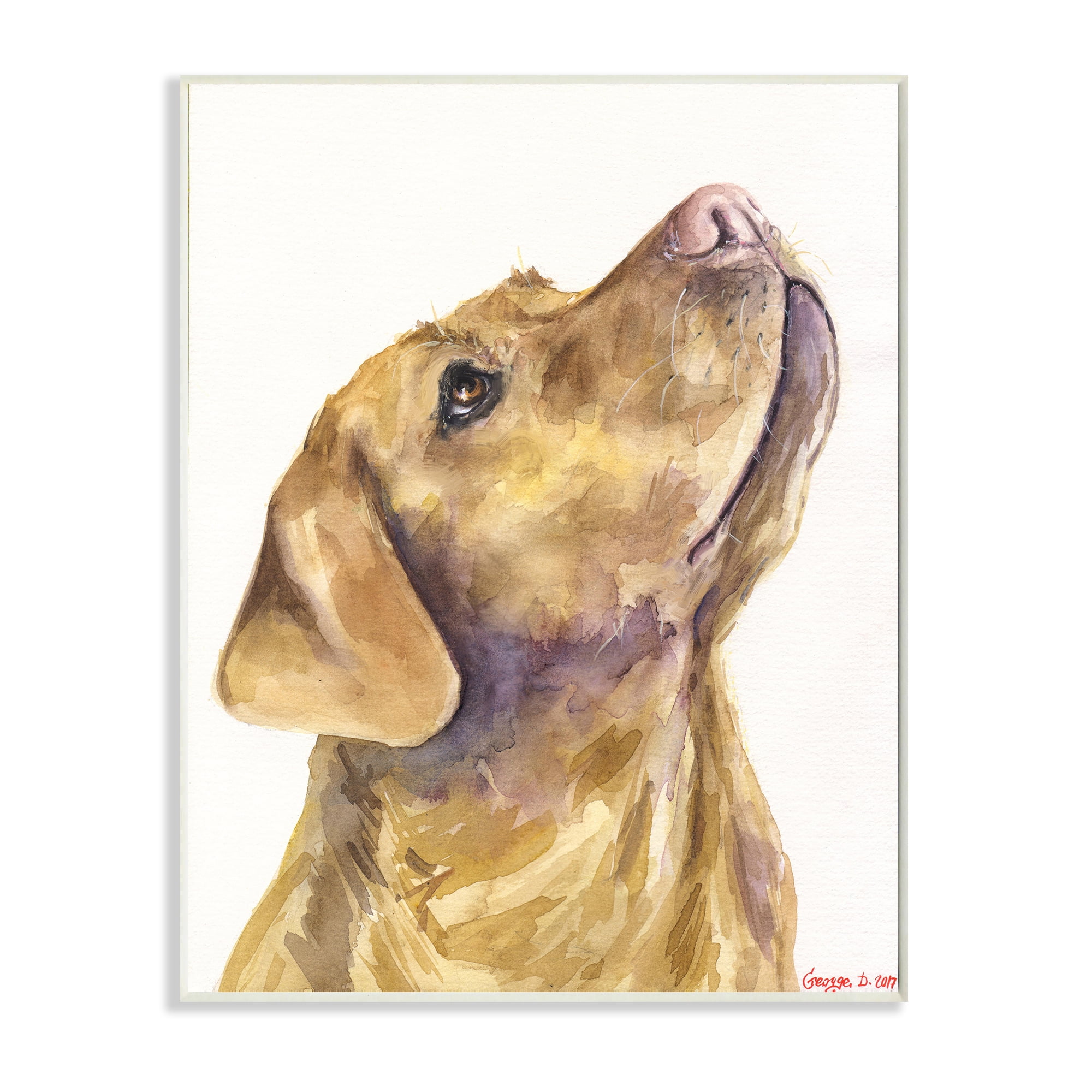 Stupell Industries Yellow Lab Gazing Upwards Pet Dog Portrait Wall Plaque, 10 x 15, Design by George Dyachenko