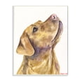 thumbnail image 1 of Stupell Industries Yellow Lab Gazing Upwards Pet Dog Portrait Wall Plaque, 10 x 15, Design by George Dyachenko, 1 of 6