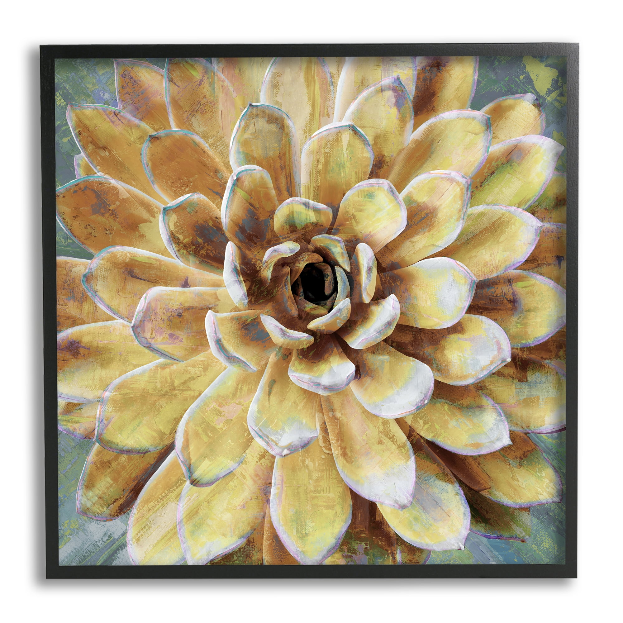 Stupell Industries Yellow Painted Botanical Succulent Bloom Painting Graphic Art Black Framed Art Print Wall Art, 24x24, by Lindsay Benson