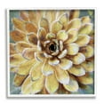 thumbnail image 1 of Stupell Industries Yellow Painted Botanical Succulent Bloom Painting Graphic Art White Framed Art Print Wall Art, 24x24, by Lindsay Benson, 1 of 7