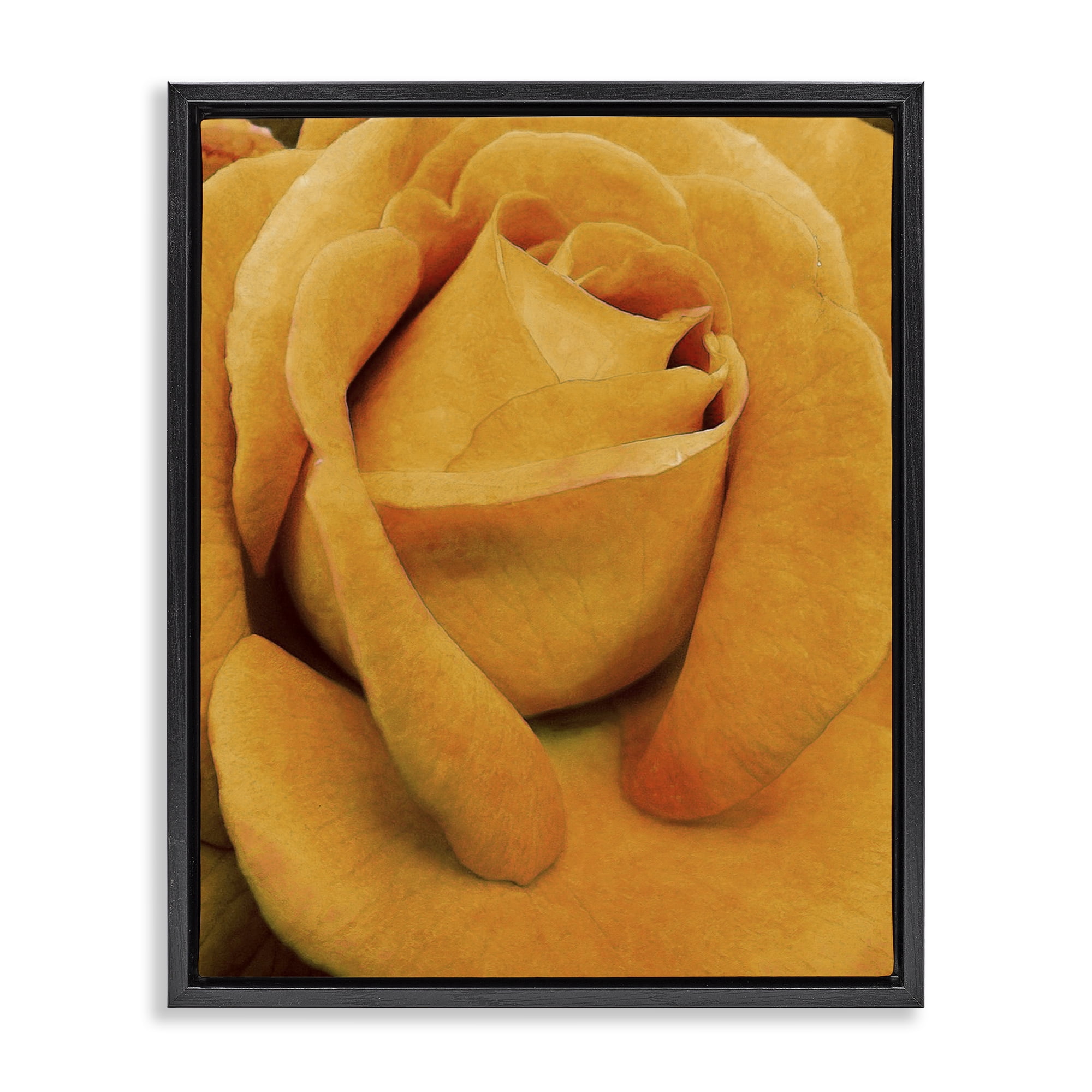 Stupell Industries Yellow Rose Close Up Botanical & Floral Painting Black Floater Framed Art Print Wall Art, 25 x 31