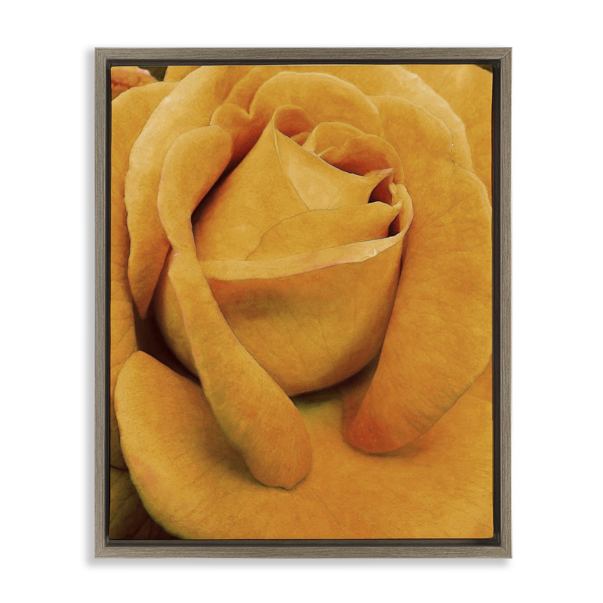 Stupell Industries Yellow Rose Close Up Botanical & Floral Painting Brown Floater Framed Art Print Wall Art, 25 x 31