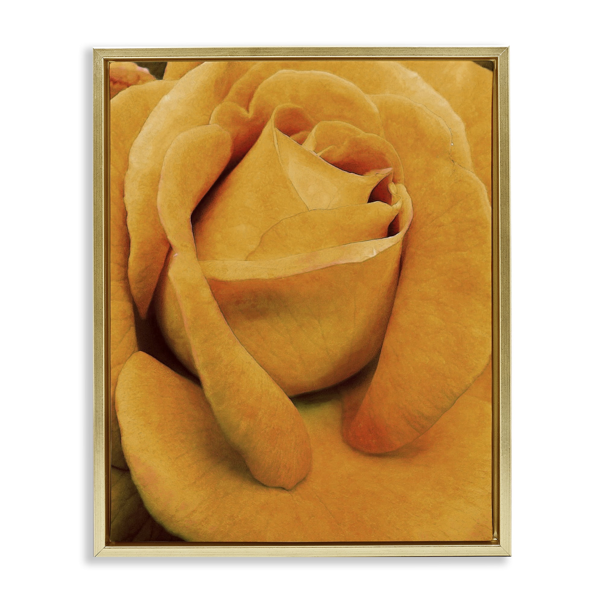 Stupell Industries Yellow Rose Close Up Botanical & Floral Painting Gold Floater Framed Art Print Wall Art, 17 x 21