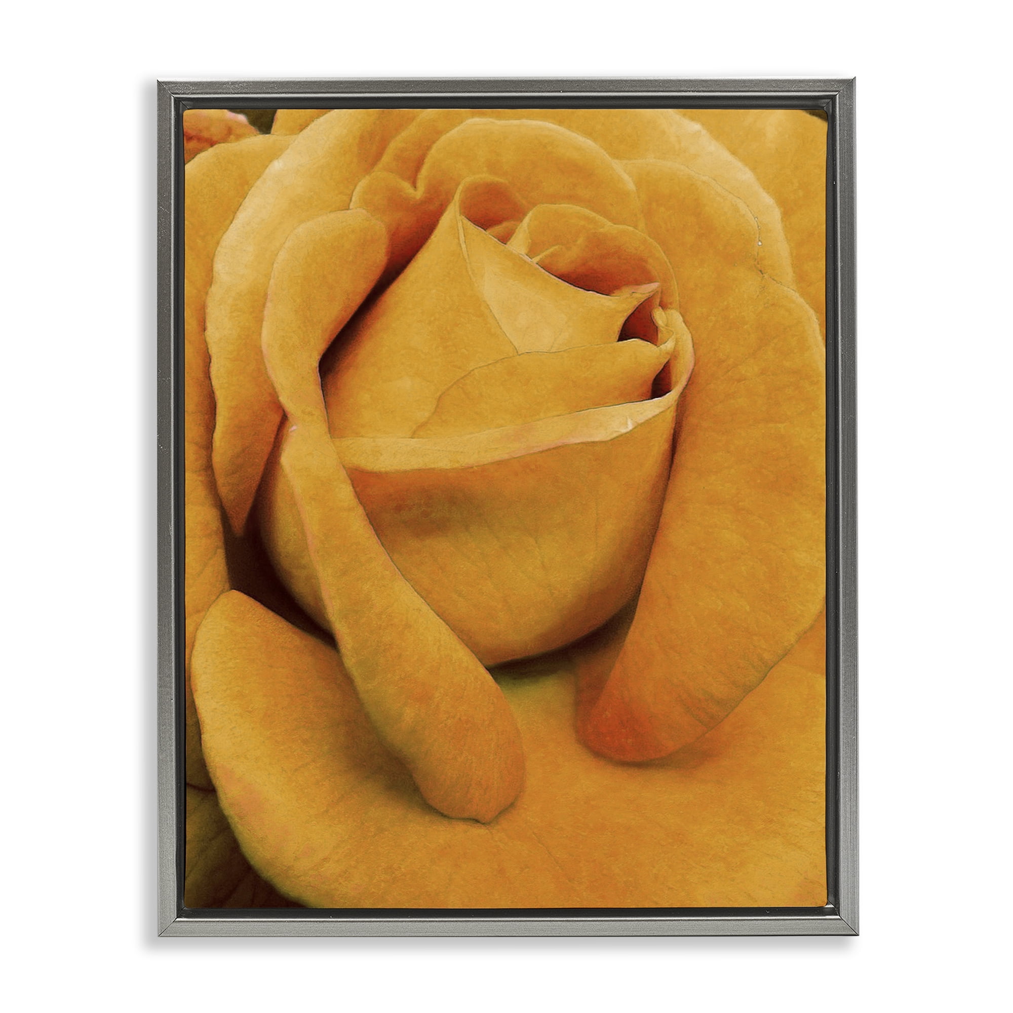 Stupell Industries Yellow Rose Close Up Botanical & Floral Painting Gray Floater Framed Art Print Wall Art, 25 x 31