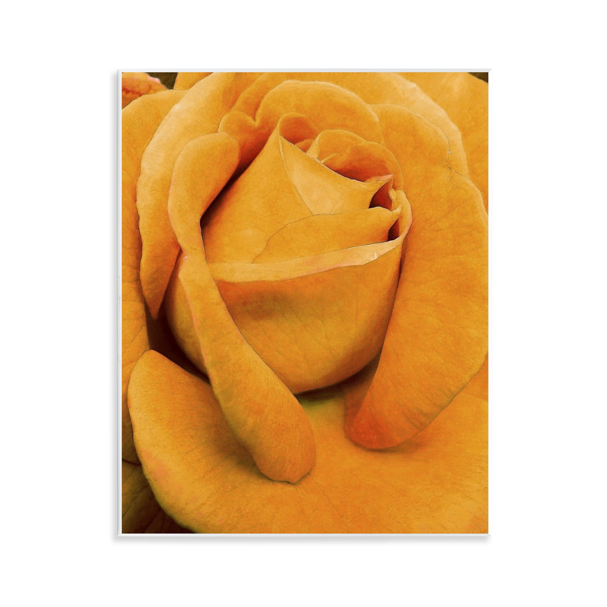 Stupell Industries Yellow Rose Close Up Botanical & Floral Painting Unframed Art Print Wall Art, 11 x 14