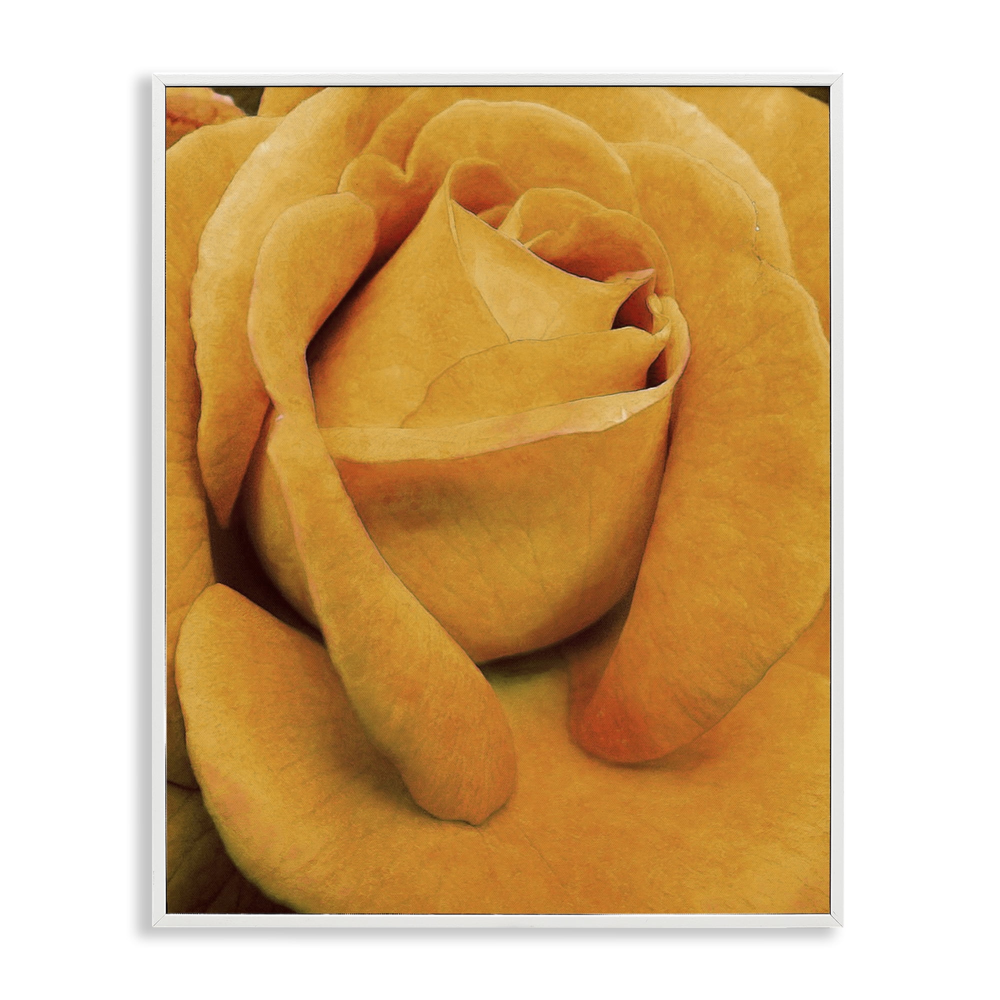 Stupell Industries Yellow Rose Close Up Botanical & Floral Painting White Framed Art Print Wall Art, 24 x 30