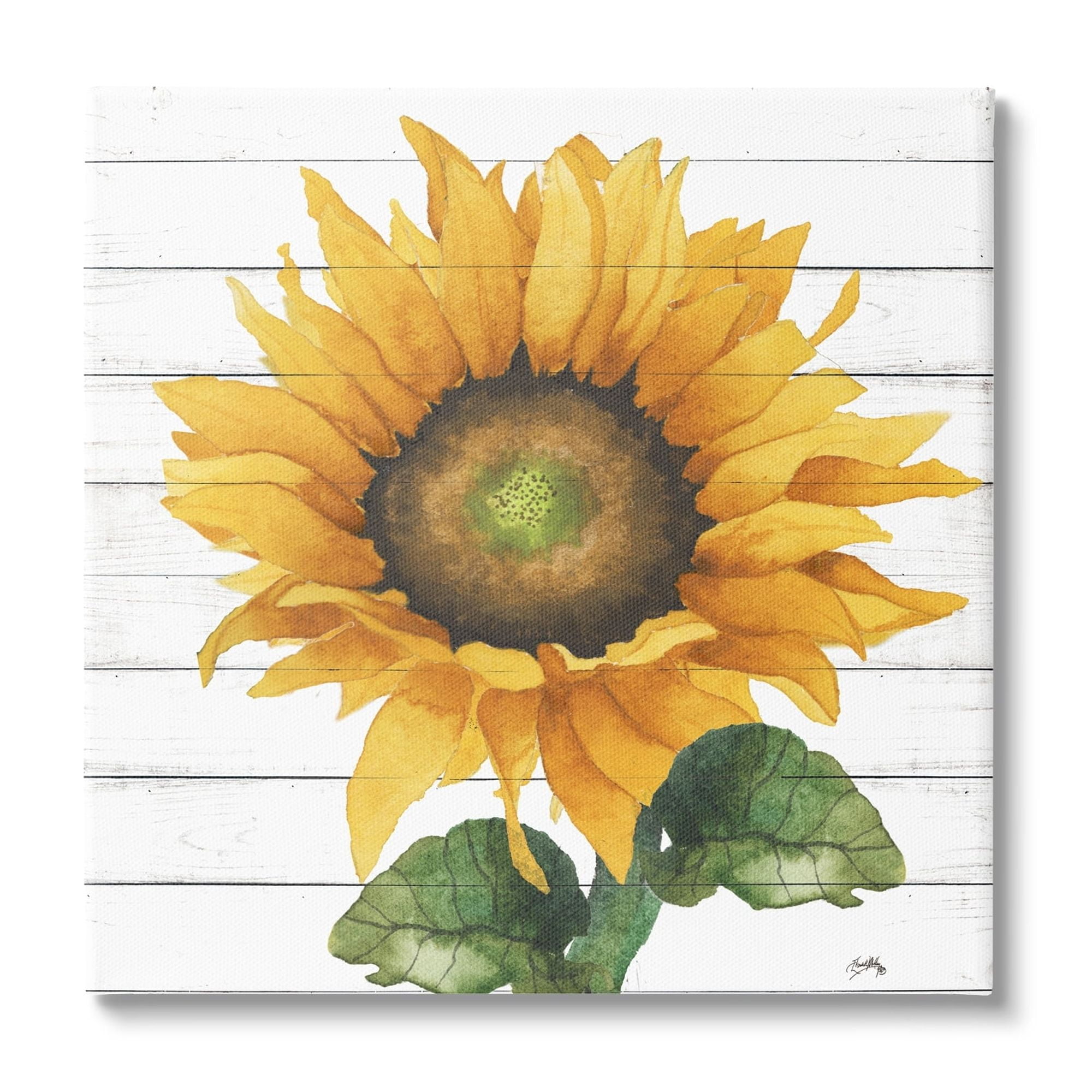 Stupell Industries Yellow Sunflower Blossom Bold Petals Rustic Design Canvas Wall Art, 17 x 17, Design by Elizabeth Medley